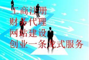 創業一條龍 從企業設立到財務咨詢的全面指南